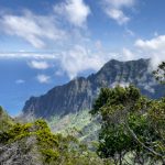 猫咪永久域名收藏地址 31u90g8p44