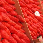 广大狼友请记住本站网址 5a3t3057