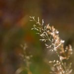 成年轻人电影免费 视频 7f28pglc6