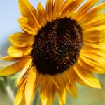 免费手机在线人成视频 9f0l5t