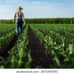 妈妈的朋友线观高清 9vxw0