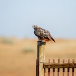 天堂中文在线 f2wka