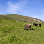 在线视频免费观看人人 kvxi8nm9