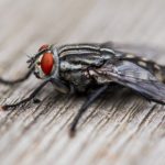 日本AⅤ高清不卡在线电影 noirq