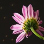 天天综合网久久网 r7n9xc2