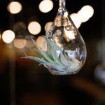 性视频免在线观看视频 usq7fom