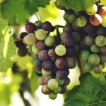 暖暖视频免费高清日本 vxv3sco