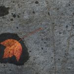 手机在线观看无码日韩视频 yw481fgp1