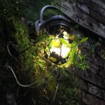 国内免费最大的吃瓜网站:畅享最新娱乐八卦与热辣新闻 2ho01ky