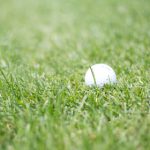 多多影视网官:探索最新影视资源与精彩内容的最佳平台 hm91ru