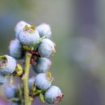 头条新闻头条:深入解析今日最热头条背后的故事与影响 pa6yrmn