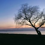 国内写真网站:探索多样化摄影作品与创意展示平台 pf0tv5g1