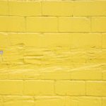 如何顺利完成Cilimao账户登录步骤详解 vchb2qqjh